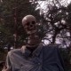 2 pt.